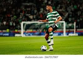 波士顿红袜队与纽约洋基队的“红袜洋基大战”在八十年代进入了白热化阶段