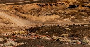 拉齐奥传奇西格诺里57岁生日快乐